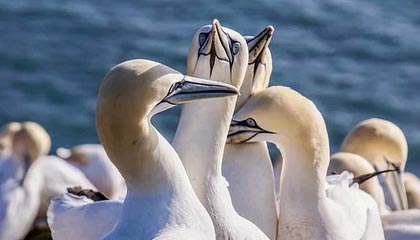 B sports_ 专访：专业滑雪教练分享训练与备赛经验，滑雪教练培训学校