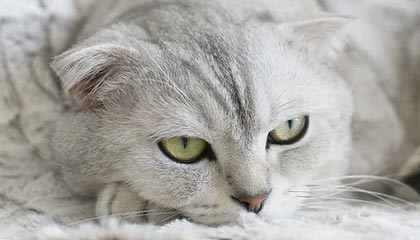 B sports_ 专访职业战队成员：竞技与休闲如何平衡？，lpl b+战队