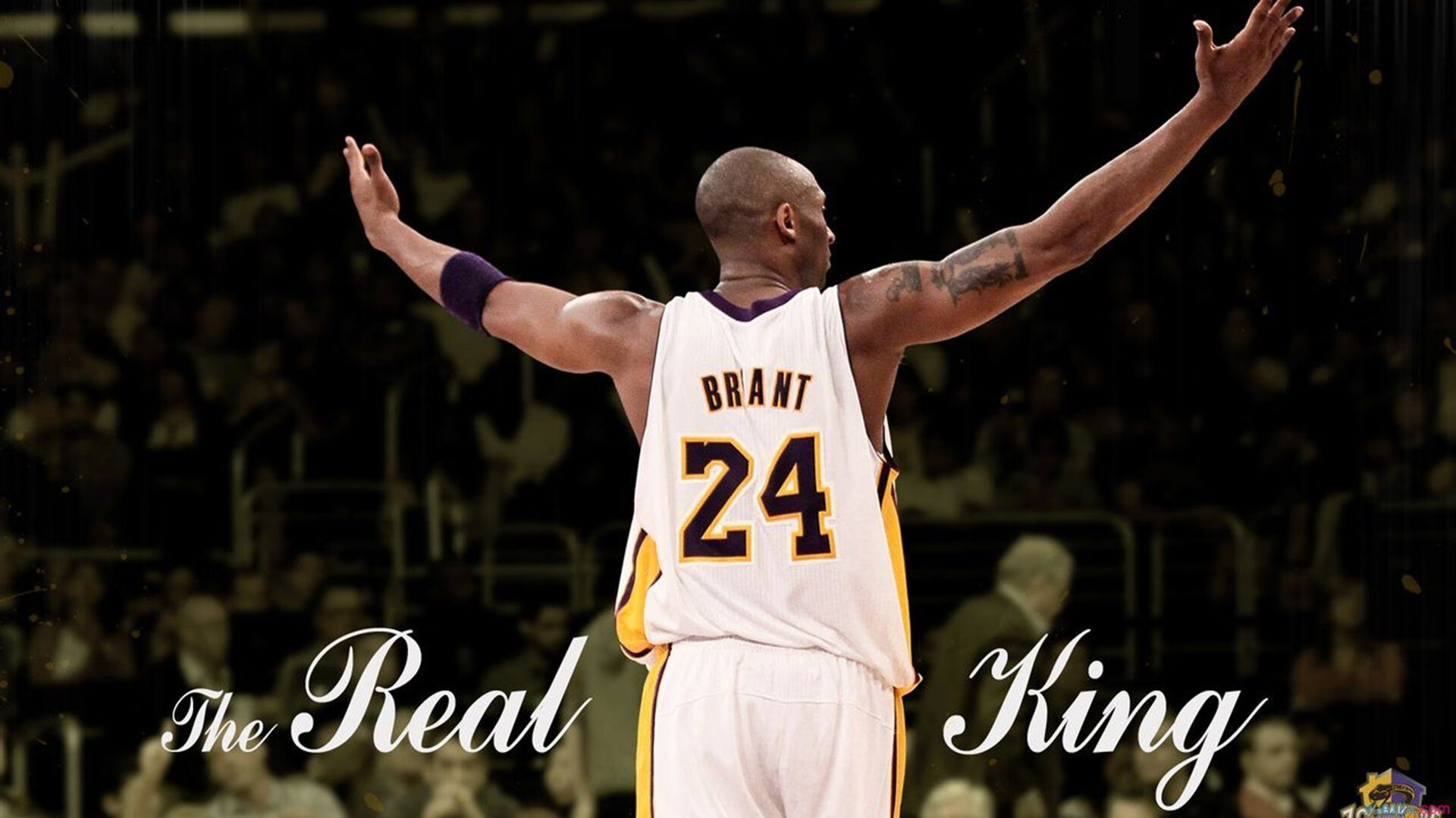 女子联赛开设赛前球员故事环节提升赛事人文温度，女子比赛项目